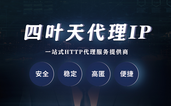 【柳州代理IP】代理ip客户端使用教程